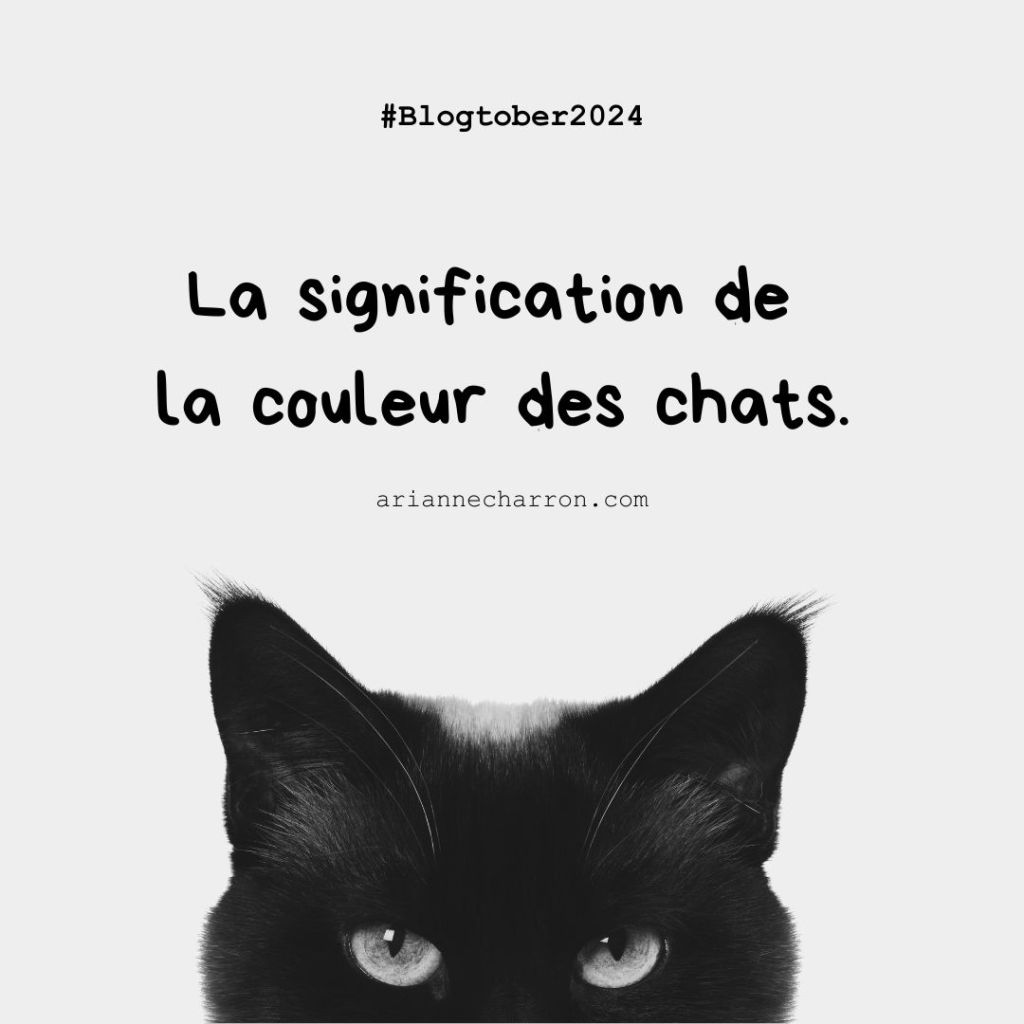#Blogtober Day 24; La signification de la couleur des&nbsp;chats.
